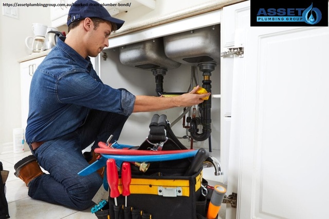 Blocked Drain Plumber Bondi Picture Box