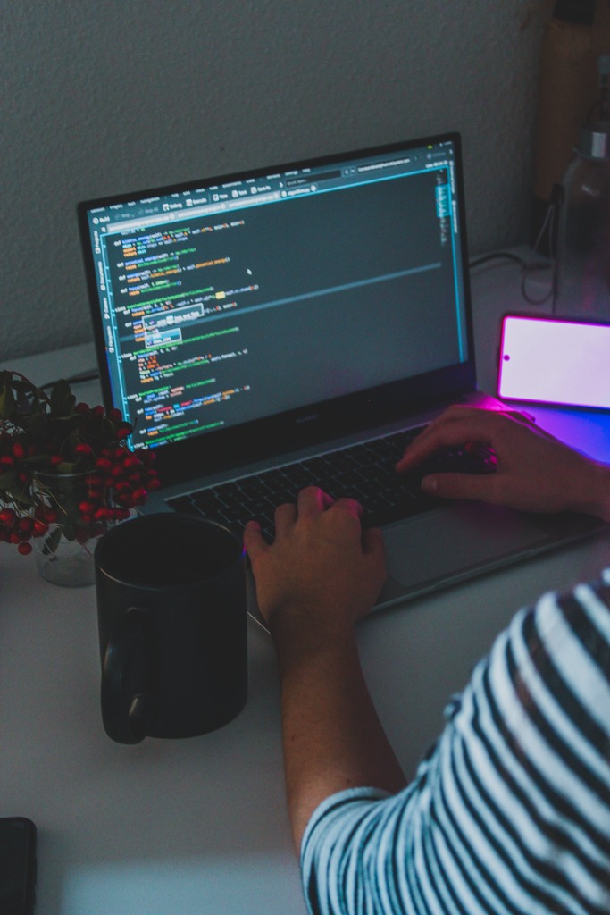 CodeExmapler is the best platform to learn coding  Picture Box