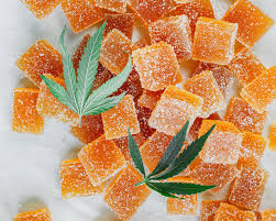 Elevate Well CBD Gummies Picture Box
