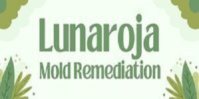 logo Lunaroja Mold Remediation