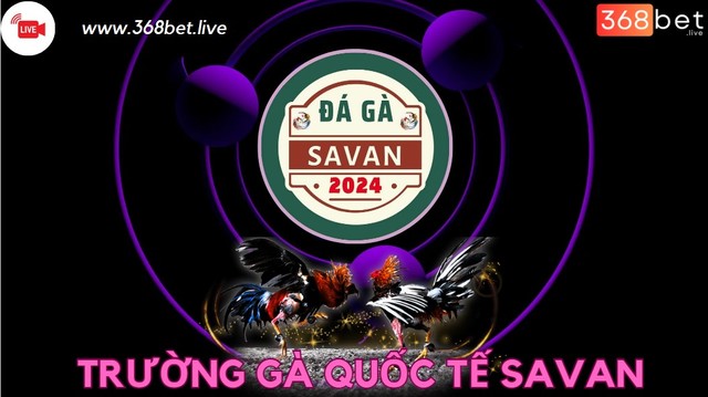 truong-ga-quoc-te-savan TrÆ°á»ng GÃ  Savan