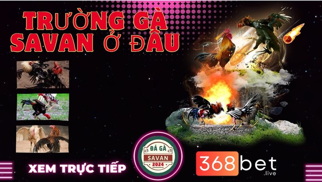 dia-chi-truong-ga-savan TrÆ°á»ng GÃ  Savan