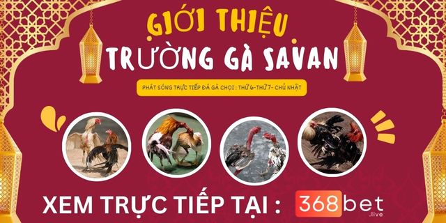 gioi-thieu-truong-ga-savan TrÆ°á»ng GÃ  Savan