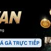 live-da-ga-savan - TrÆ°á»ng GÃ  Savan