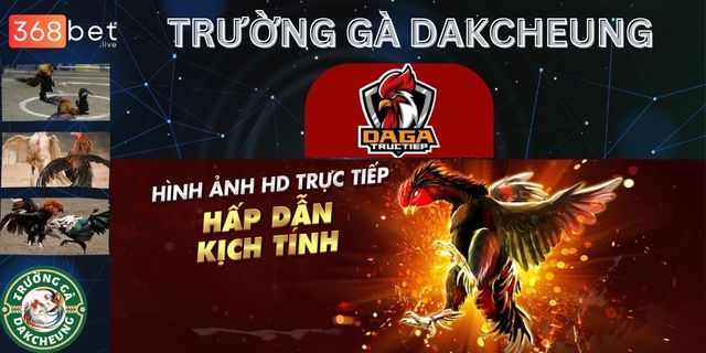 truong-ga-dakcheung TrÆ°á»ng GÃ  DAKCHEUNG