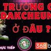 truong-ga-dakcheung-o-dau - TrÆ°á»ng GÃ  DAKCHEUNG