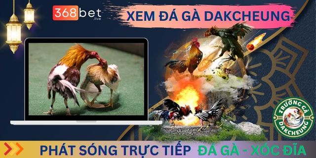 xem-da-ga-dakcheung TrÆ°á»ng GÃ  DAKCHEUNG