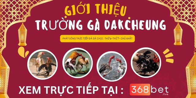 gioi-thieu-truong-ga-dakcheung TrÆ°á»ng GÃ  DAKCHEUNG