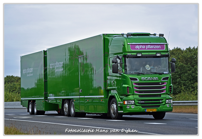 Alpha Planzen 59-BBP-4-BorderMaker - 