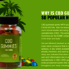 CBD Care Gummies USA Reviews 2024