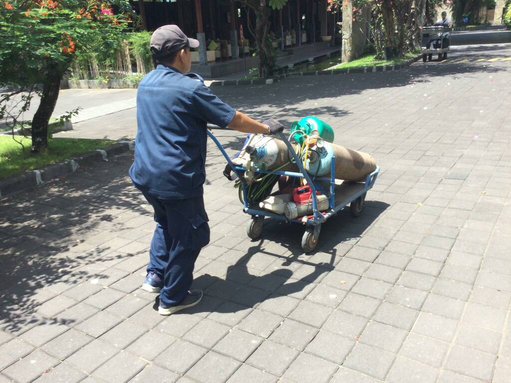 367963644 343159008322784 7701085347740120907 n - 