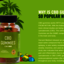 image processing20231125-26... - CBD Care Gummies Reviews: Where To Buy In USA