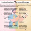 The Web Symphony: Frontend ... - Picture Box