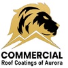 Commercial Roof Coatings of Aurora