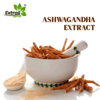Ashwagandha-Extract - Extroil Naturals