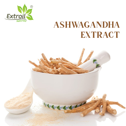 Ashwagandha-Extract Extroil Naturals