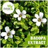 Bacopa-Extract - Extroil Naturals
