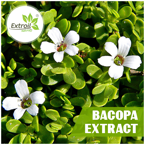 Bacopa-Extract Extroil Naturals
