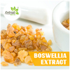 Boswellia-Extract - Extroil Naturals