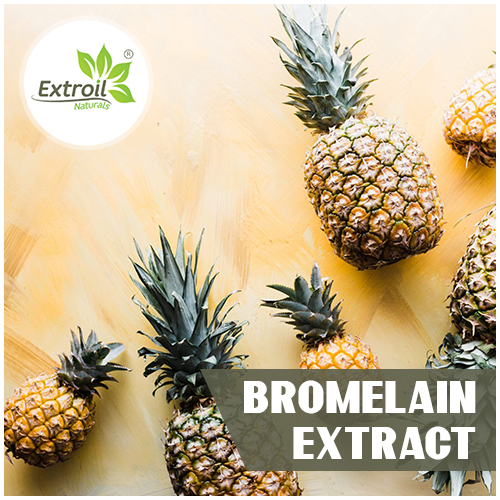 Bromelain-Extract Extroil Naturals