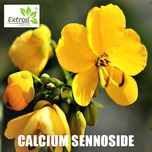Calcium Sennoside Extroil Naturals
