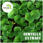 Centella-Extract - Extroil Naturals