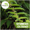 Gymnema-Extract - Extroil Naturals