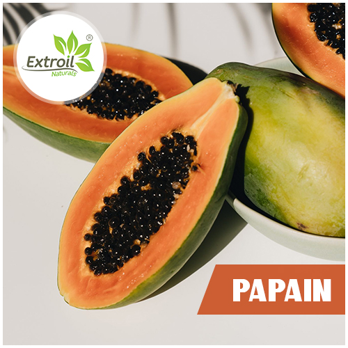Papain Extroil Naturals