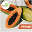 Papain - Extroil Naturals