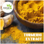 turmeric-extract - Extroil Naturals