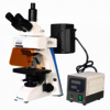 Fluorescence Microscope