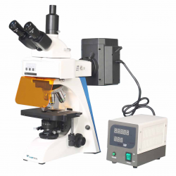 Fluorescence-Microscope Fluorescence Microscope