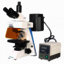 Fluorescence-Microscope - Fluorescence Microscope