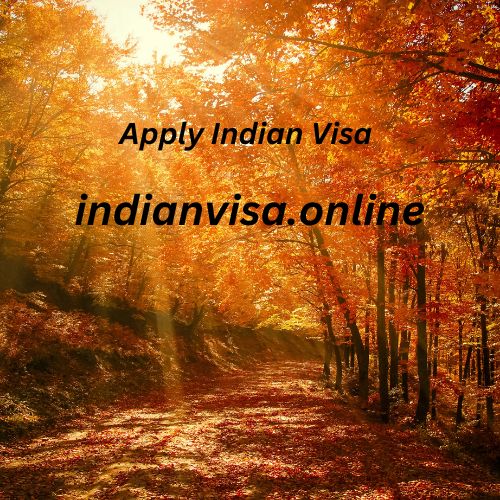 Apply Indian Visa (6) indianvisa