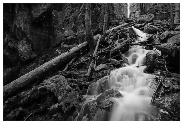 Comox Lake 2023 4 Black & White and Sepia