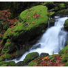 Comox lake Falls 2023 2 - Nature Images