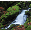 Comox lake Falls 2023 1 - Nature Images
