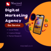 Digital marketing service - Picture Box