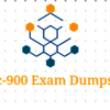 SAP-C02 Exam Dumps