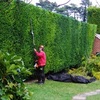c1 - Basil Green Landscaping