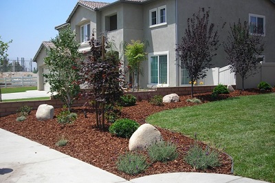 c2 Basil Green Landscaping