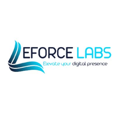 seo services in Lahore eForce Labs