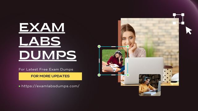 Ace Every Test: ExamLabsDumps Exam Dumps Demystifi Picture Box