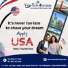 USA visa - Picture Box