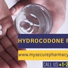 5 (2) (2) - buy hydrocodone overnight