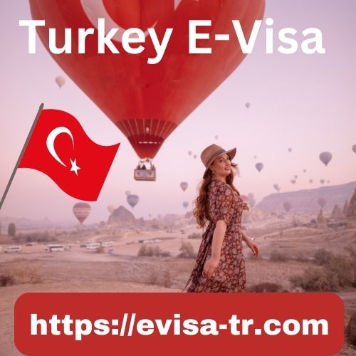 Online E-VISA TURKEY In USA Picture Box