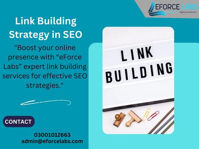 Link Building Strategy in SEO link building strategy in seo