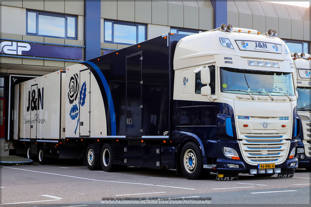 doe (20)-BorderMaker - 