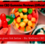 bio wellness cbd gummies Im... - Picture Box