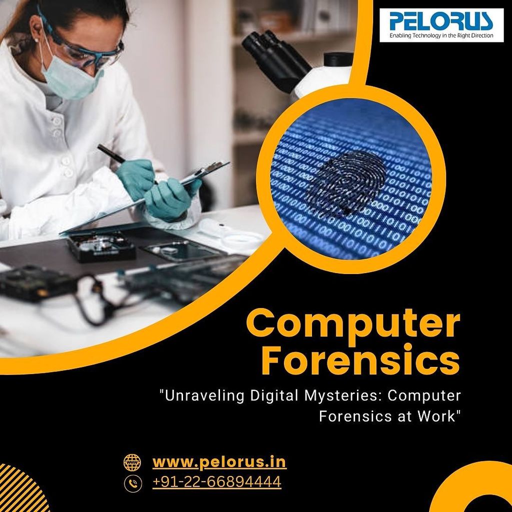 Computer Forensics Picture Box